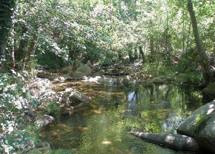 Garganta de San Gregorio. Aldeanueva de la Vera. Cáceres.
